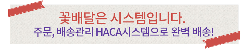 한국꽃배달센터 HACA시스템